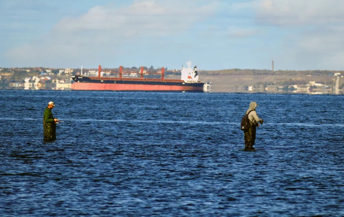 Туреччина обмежила прохід суден у Чорному морі: причини й наслідки 2026