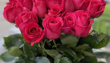 Саженцы роз – где купить на лучших условиях