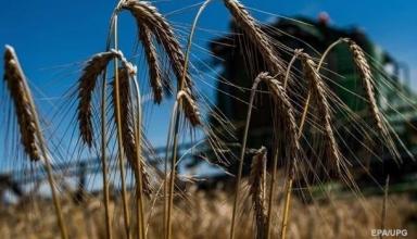 В Украине собрано более 56 млн тонн зерновых
