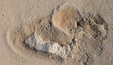На Крите нашли отпечаток стопы человека возрастом около шести млн лет
