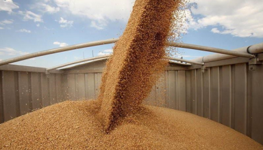 Украина нарастила экспорт зерновых