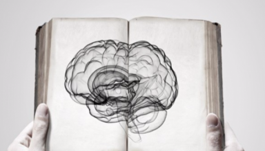 Ученые выяснили, как максимально использовать ресурсы мозга