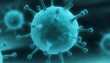 Ученые приблизились к созданию универсальной вакцины от гриппа