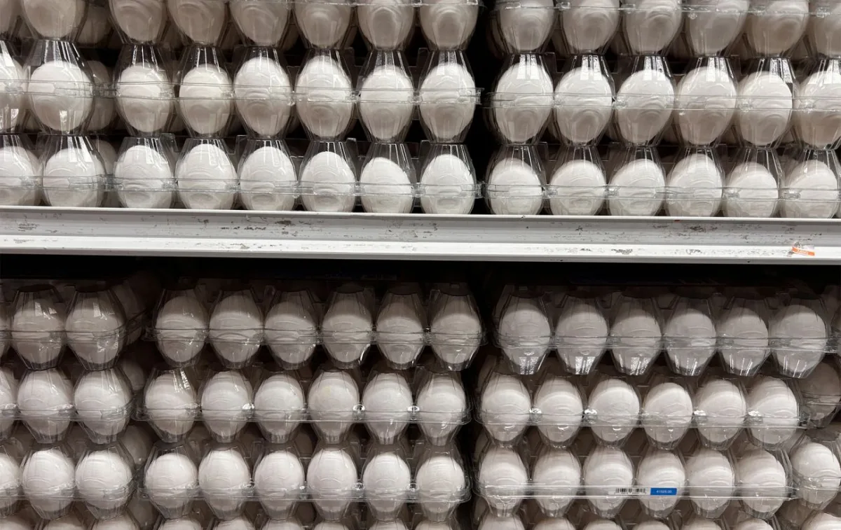 Яйця подорожчали: ціни на продукти в супермаркетах 31 серпня 2026
