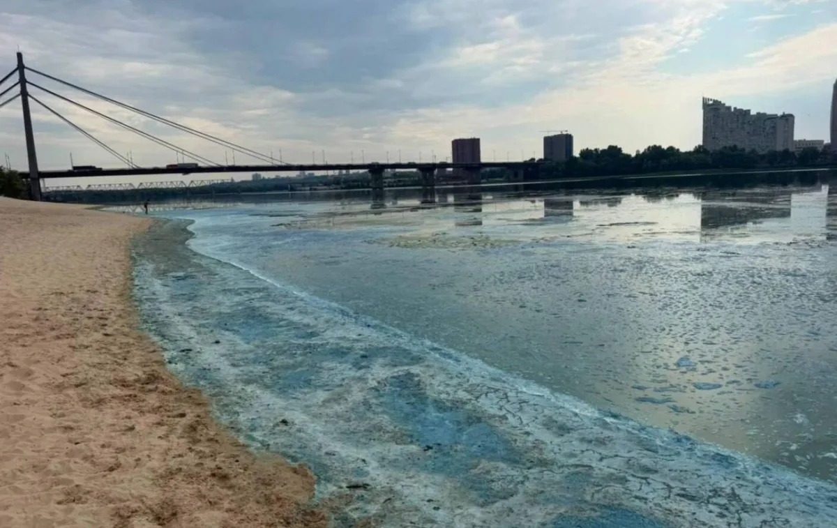 Зелена вода в Дніпрі: чому вона цвіте влітку й наскільки це небезпечно