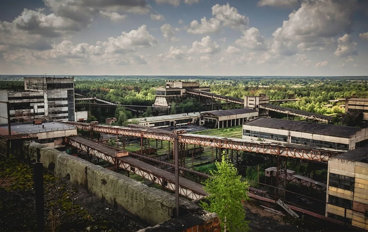 Червоноградська ЦЗФ: новий керуючий і аудит діяльності 2026