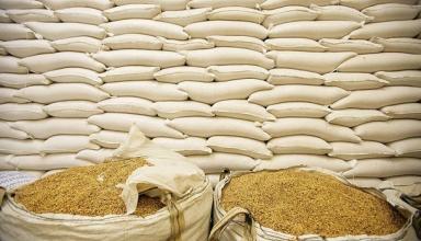 Украина не будет ограничивать экспорт пшеницы