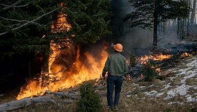 Синоптики предупреждают о чрезвычайной пожарной опасности в Украине