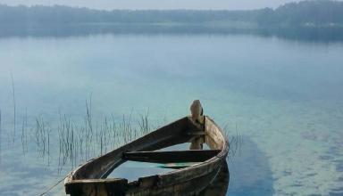 Шацкие озера: оздоровительный отпуск на самом большом озере Украины и прогулки по хвойным лесам