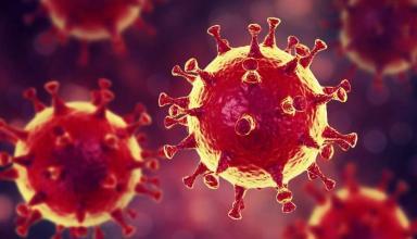 В мире возникают новые опасные штаммы коронавируса, предупреждают генетики